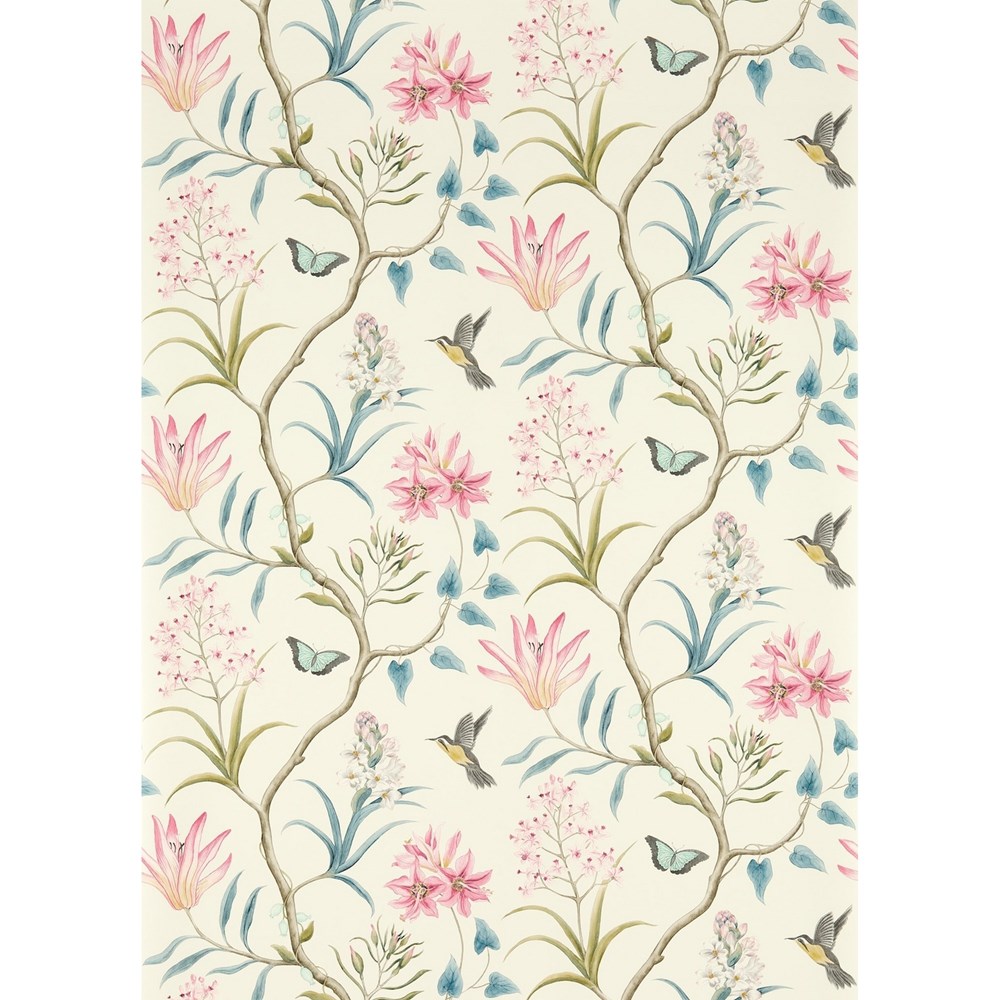 Clementine Wallpaper 213386 by Sanderson in Dusky Pink